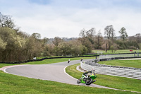 Middle Group Green Bikes